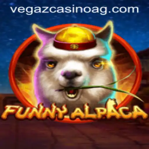 Discover the Excitement of 
